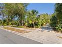 A glimpse of the property's driveway, surrounded by lush, mature landscaping at 109 Burney Rd, Osprey, FL 34229
