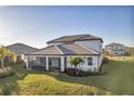 The backyard features a screened lanai, manicured lawn, and mature landscaping at 17703 Savory Mist Cir, Bradenton, FL 34211