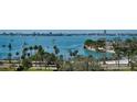 Scenic waterfront view showcasing palm trees, boats, and cityscape with a vibrant blue skyline at 401 S Palm Ave # 801, Sarasota, FL 34236