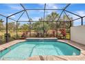 A private screened-in pool is surrounded by lush tropical landscaping at 12245 Marsh Pointe Rd, Sarasota, FL 34238