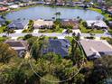 Overhead shot of home surrounded by lush trees near a serene lake, highlighting the tranquil neighborhood setting at 5646 Country Lakes Dr, Sarasota, FL 34243