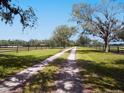 Gravel driveway lined with trees and a wooden fence, leading into the property at 15101 Rawls Rd, Sarasota, FL 34240
