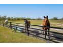 Three horses in a fenced pasture with a water trough and green grass under a clear blue sky at 15101 Rawls Rd, Sarasota, FL 34240