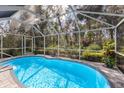 Inviting screened-in pool area surrounded by lush landscaping, perfect for outdoor enjoyment and privacy at 3408 Brookridge Ln, Parrish, FL 34219