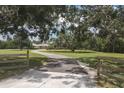 Long driveway leading to a charming home, framed by mature trees and lush greenery at 1355 Debrecen Rd, Sarasota, FL 34240
