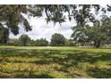 Expansive green lawn with mature trees and lush landscaping providing a serene and private setting at 1355 Debrecen Rd, Sarasota, FL 34240