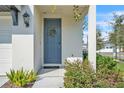 Welcoming entryway with a blue door, wreath, and well-kept landscaping at 2718 Chestnut Creek Pl, Brandon, FL 33510