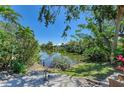 Picturesque lake view from the backyard, surrounded by lush tropical greenery at 417 Tortuga Dr, Nokomis, FL 34275