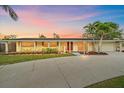 Charming single-story home with a well-manicured lawn, palm trees, and a concrete driveway at sunset at 2905 Bougainvillea St, Sarasota, FL 34239