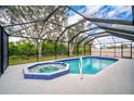 Screened-in pool and spa area offers a relaxing backyard oasis with lush greenery at 7251 Sunnybrook Blvd, Englewood, FL 34224
