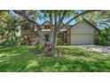 Landscaped front yard with beautiful plants and a large tree in front of a brick home with a blue front door at 1533 Oak Way, Sarasota, FL 34232