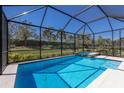 Screened-in pool and spa with a view of the manicured backyard and mature trees at 14651 Derna Ter, Bradenton, FL 34211