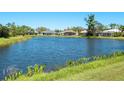 A picturesque view of the tranquil pond surrounded by lush greenery and neighboring houses at 5087 Timber Chase Way, Sarasota, FL 34238