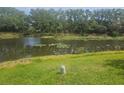 Scenic pond view with lily pads and lush green surroundings creating a tranquil and picturesque backyard oasis at 5121 Glade Fern Ct, Sarasota, FL 34238
