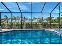 Screened-in pool boasts a spa and overlooks beautifully landscaped grounds with palm trees and blue skies at 1110 93Rd Nw St, Bradenton, FL 34209