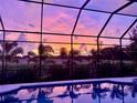 Screened-in pool boasts a spa and overlooks beautifully landscaped grounds with palm trees at sunset at 1110 93Rd Nw St, Bradenton, FL 34209