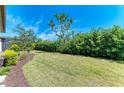 A beautiful backyard features manicured landscaping, lush green grass, mature trees, and plenty of privacy at 116 Pescador Pl, Nokomis, FL 34275