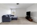 Cozy living room featuring a comfortable sofa, neutral carpet, and a TV on a console at 3140 Village Green Dr # 1119, Sarasota, FL 34239