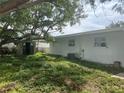 View of an expansive backyard with an included storage shed and some landscaping at 4431 W Wallace Ave, Tampa, FL 33611