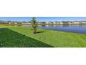 Green backyard featuring beautiful lake views, lush green lawn, and a young tree at 6105 114Th E Dr, Parrish, FL 34219