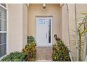 Close-up of the front door with decorative glass and sidelight, framed by plants and stucco at 8024 Via Fiore, Sarasota, FL 34238