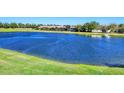 Picturesque lake view with lush green shoreline and beautiful homes in the background, creating a serene environment at 12717 Deep Blue Pl, Bradenton, FL 34211