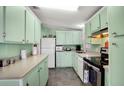 Charming kitchen with mint-green cabinetry and modern appliances at 709 Riverview Cir, North Port, FL 34287