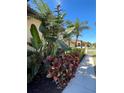 Beautifully landscaped front garden with sidewalk and curb appeal at 11331 Bertolini Dr, Venice, FL 34292