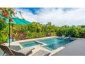 Sparkling pool and spa surrounded by lush tropical landscaping create a serene outdoor oasis at 10165 Canaveral Cir, Sarasota, FL 34241