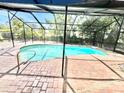 This screened pool features a brick patio and is surrounded by mature landscaping at 3320 Riviera Dr, Sarasota, FL 34232