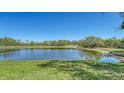 Scenic view of a tranquil pond surrounded by lush greenery under a clear blue sky at 7687 Sweetbay Cir # 7687, Bradenton, FL 34203