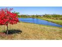Peaceful backyard view showcasing lush landscaping, a serene pond, and neighboring houses at 10519 Spring Tide Way, Parrish, FL 34219