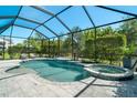 Screened-in pool with a jacuzzi and ample seating, surrounded by lush greenery and manicured landscape at 5673 Piccolo St, Nokomis, FL 34275