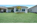 Expansive backyard with lush green lawn and modern home design featuring large windows and a palm tree at 17916 Palmiste Dr, Bradenton, FL 34202
