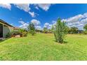 Expansive backyard featuring lush green grass and vibrant tropical landscaping with a serene outdoor setting at 19889 Benissimo Dr, Venice, FL 34293