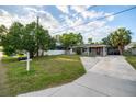 Inviting single-story home with a lush green lawn, mature trees, and a welcoming driveway, showcasing curb appeal at 3515 W Pearl Ave, Tampa, FL 33611