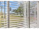 Scenic view through the window with blinds showcasing a serene landscape with trees and a glimpse of a pond at 3859 Little Country Rd, Parrish, FL 34219