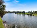 Calm pond view surrounded by palm trees, showcasing the tranquil and scenic environment at 26725 Raphis Royale Blvd, Englewood, FL 34223