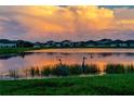 Scenic pond view with wildlife and beautiful sunset reflecting on the water at 11702 Tetrafin Dr, Riverview, FL 33579