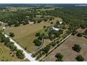 Scenic aerial view showcasing a large property with a winding driveway leading to a well-maintained home at 12615 River Rd, Myakka City, FL 34251