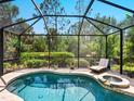Stunning screened-in pool with attached spa and a tanning chair, surrounded by lush landscaping at 355 Melrose Ct, Venice, FL 34292