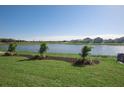Scenic backyard view of a tranquil pond, lush greenery, and neighboring homes in a peaceful setting at 15543 Trinity Fall Way, Bradenton, FL 34212