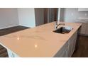 Close-up of kitchen island with marble countertop and sink at 17041 James Trl, Parrish, FL 34219