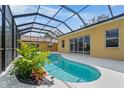 Screened-in pool with a unique shape and tropical plants at 6217 Goldfinch St, Sarasota, FL 34241