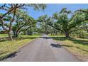 Long driveway lined by mature trees leading to home and other structures at 7200 Chameleon Way, Sarasota, FL 34241