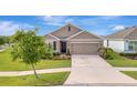 Inviting home with a spacious driveway, well-kept lawn, and mature tree providing shade and character at 16341 Little Garden Dr, Wimauma, FL 33598