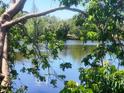 Scenic view of the tranquil lake framed by lush green foliage and clear blue sky at 4058 Gatewood Dr, Sarasota, FL 34232