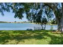 Picturesque view of the lake from the backyard, accentuated by mature trees and a private dock at 8467 Imperial Cir, Palmetto, FL 34221
