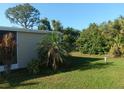 A nice, green backyard with a palm tree surrounded by lush greenery at 320 Tropic Dr, Osprey, FL 34229