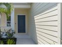 Front door with a dark painted door and light trim at 4839 Deep Creek Ter, Parrish, FL 34219